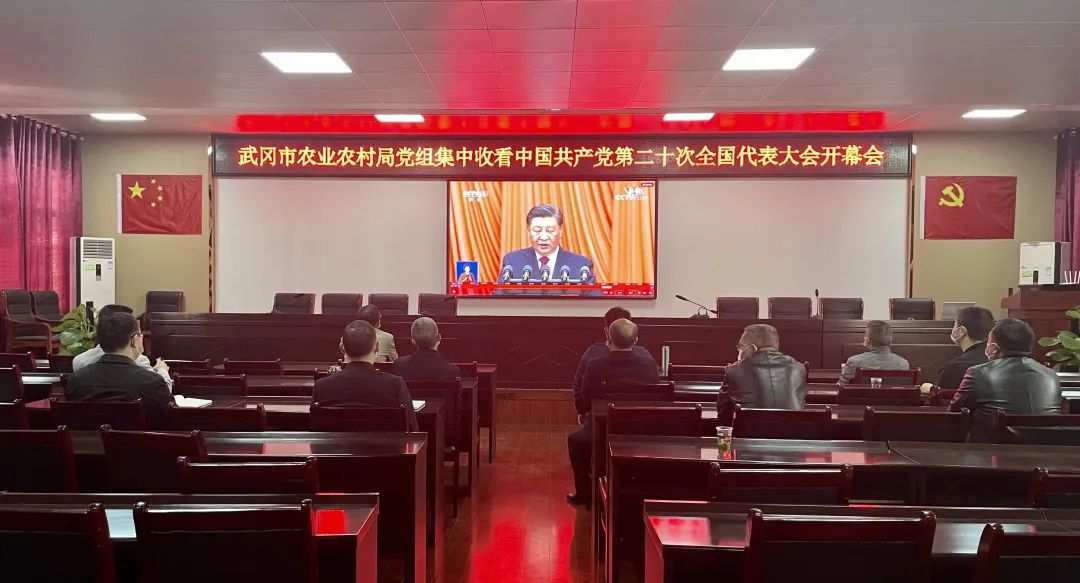 同心向党守初心 踔力奋发向未来 武冈社会各界收看收听党的二十大开幕会(图3)