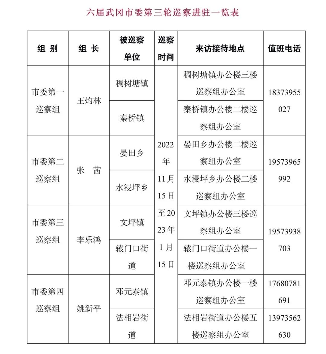 六届武冈市委第三轮巡察完成进驻(图1)