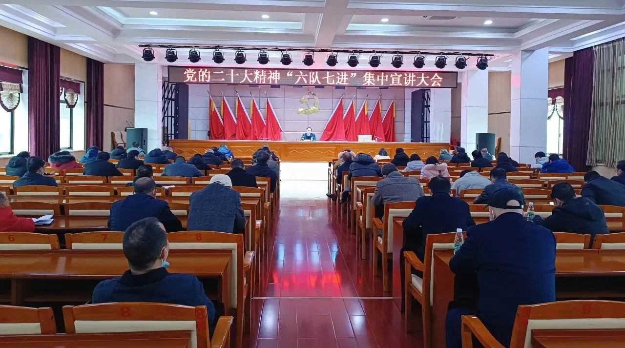 武冈市举行党的二十大精神“六队七进”集中宣讲大会(图1)