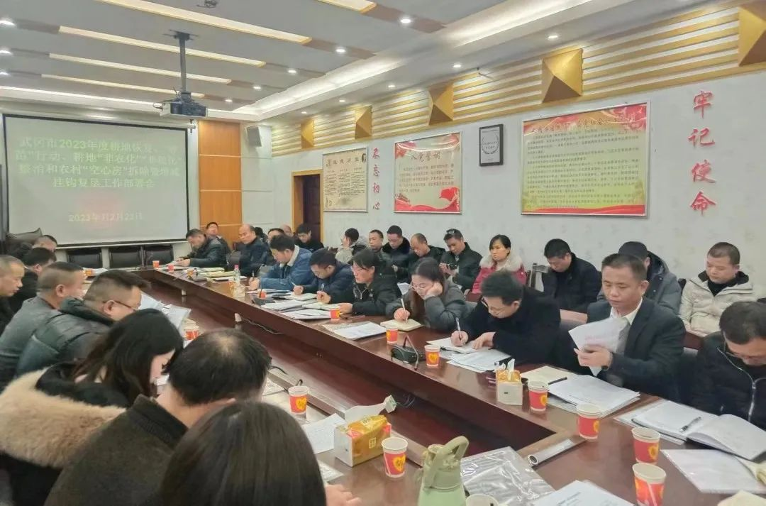 武冈拉响新增耕地“春苗”行动集结号(图1)