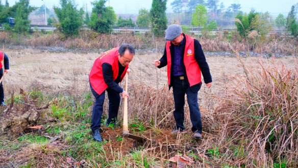武冈市政府办机关开展“义务植树”主题党日活动(图2)