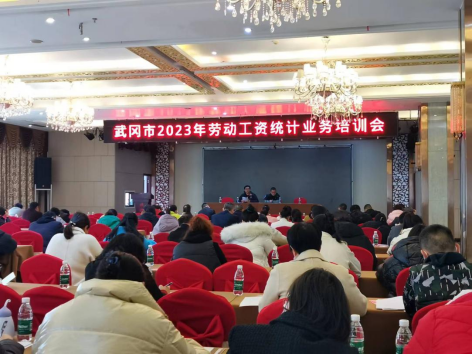 武冈市统计局召开劳动工资调查统计业务培训会(图1)
