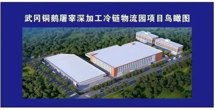 武冈市重点项目建设大比拼现场推进会召开 坚持大抓项目 全力大干快上 持续推动项目建设提速增效(图4)