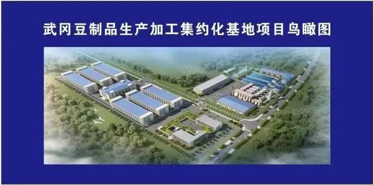 武冈市重点项目建设大比拼现场推进会召开 坚持大抓项目 全力大干快上 持续推动项目建设提速增效(图5)