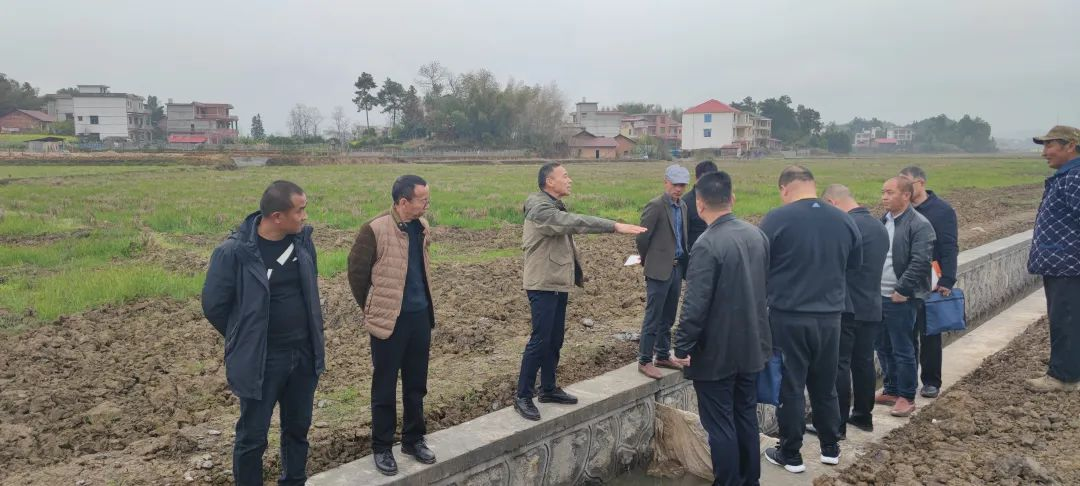 督进度查质量保生产 武冈市督查考核高标准农田建设项目(图1)