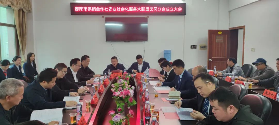 “四方”合作 高效惠农 武冈市供销社农业社会服务大联盟成立(图1)
