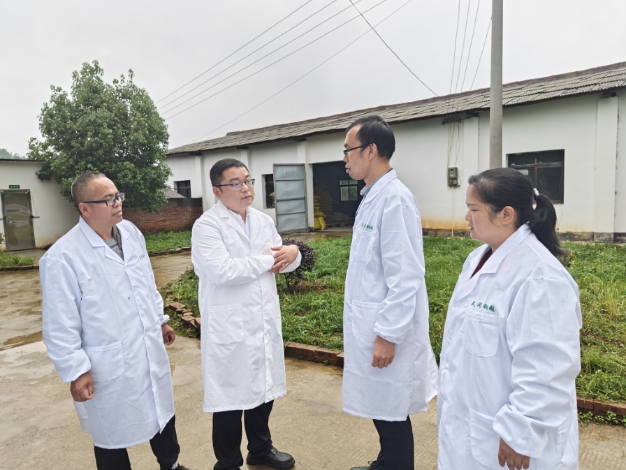 送课入“鹅乡” ——湖南省委组织部“田间课堂”走进武冈(图2)