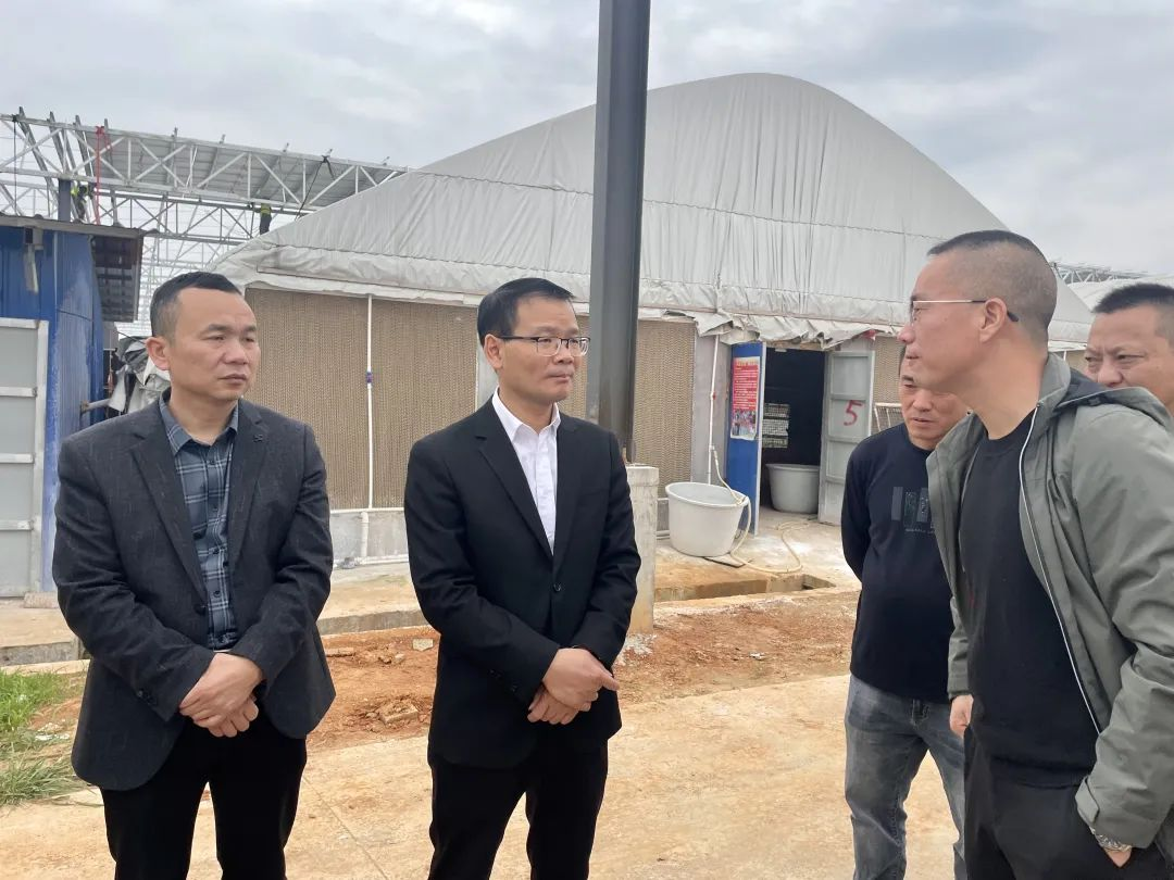 杨建平调研发展壮大村级集体经济工作(图1)