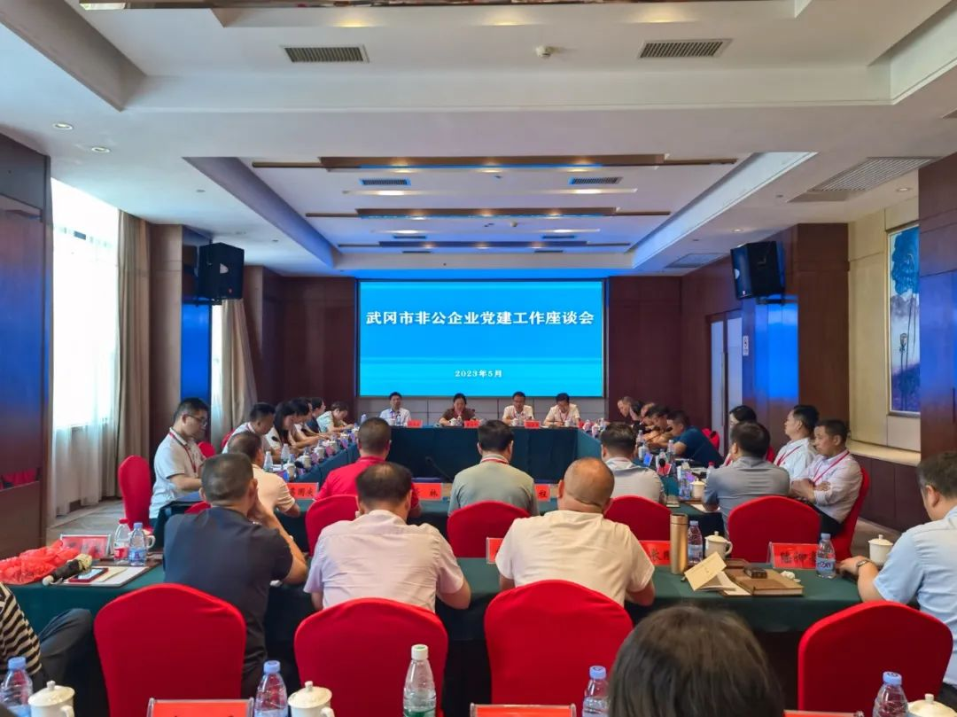 武冈市非公企业党建工作现场观摩会召开(图2)