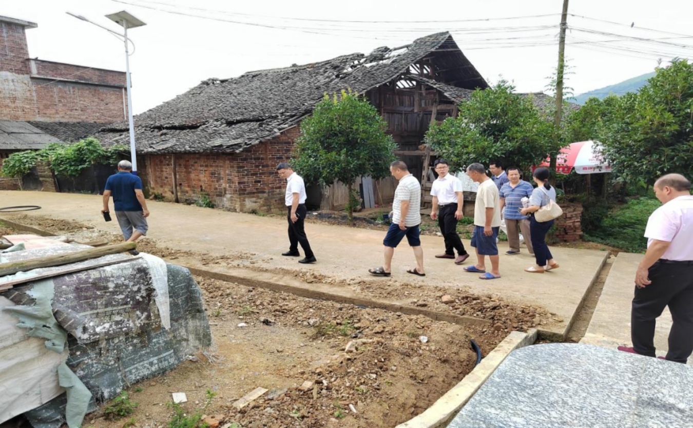 市审计局乡村振兴工作调研组到邓家铺镇名利村开展调研(图1)