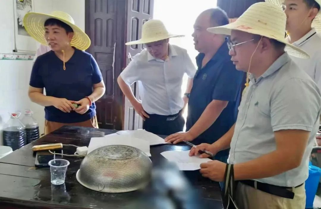 省民政厅来武冈市调研社会救助工作(图2)