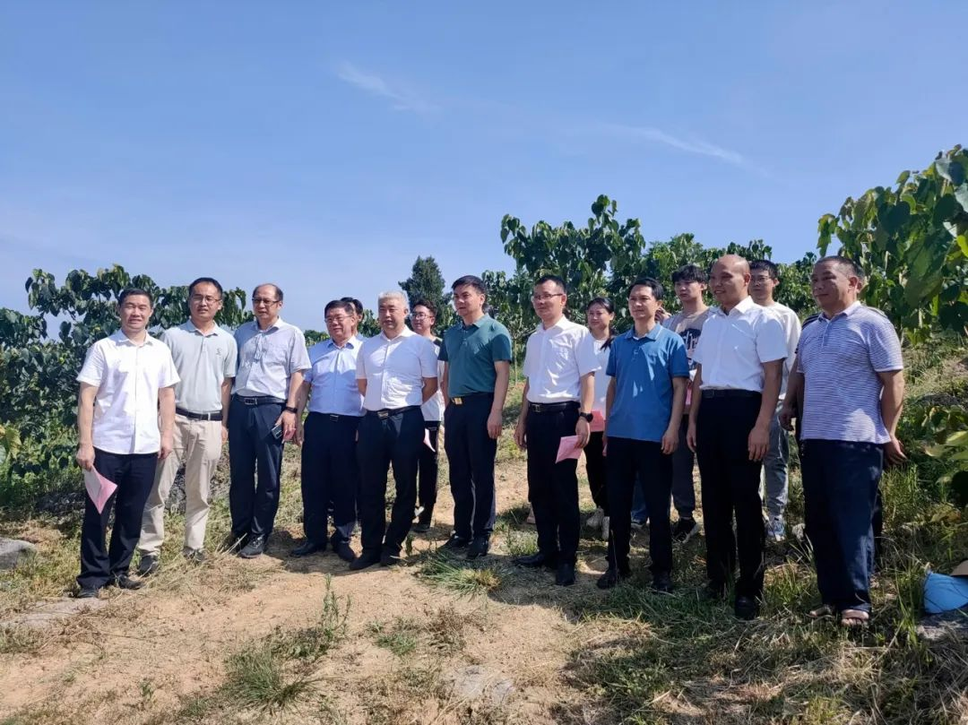 省油桐科技小院暨木本油料联合培养基地落户武冈(图2)