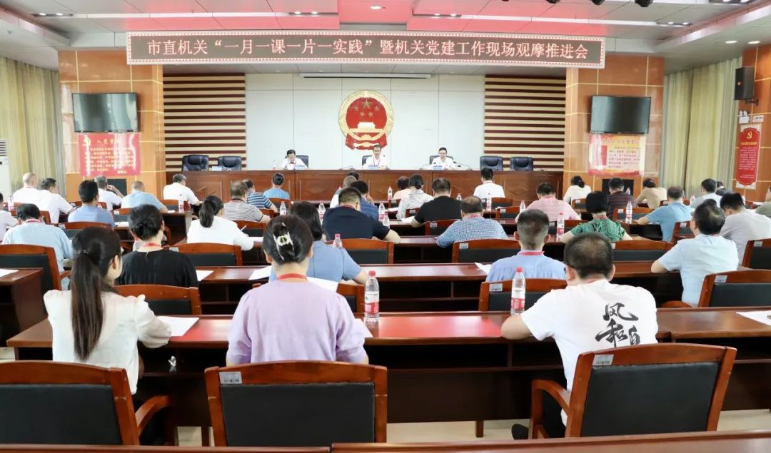 武冈市举行党建观摩推进会 充分互鉴交流促提升(图2)