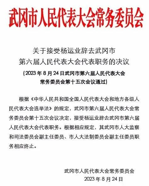 关于接受杨运业辞去武冈市第六届人民代表大会代表职务的决议(图1)