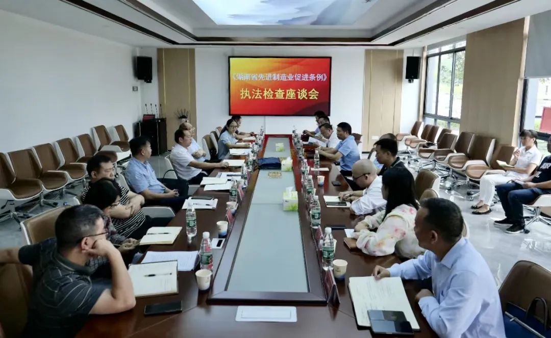李小平到武冈开展《湖南省先进制造业促进条例》执法检查(图2)