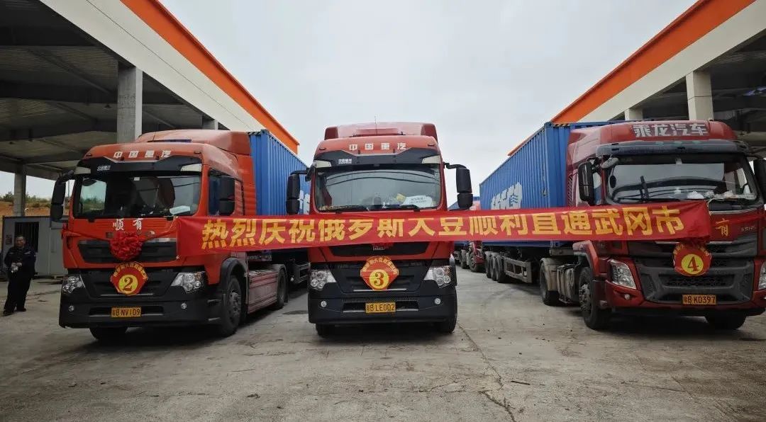 首批200吨俄罗斯进口大豆抵达武冈 武冈豆制品卤制品行业迎来重大发展机遇(图2)