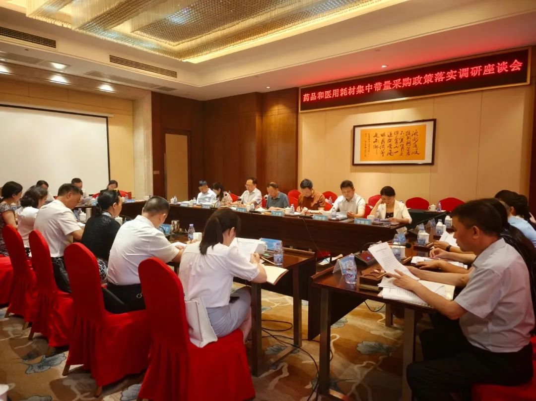 祁圣芳带队专题调研武冈市药品和医用耗材集中带量采购政策落实情况(图1)