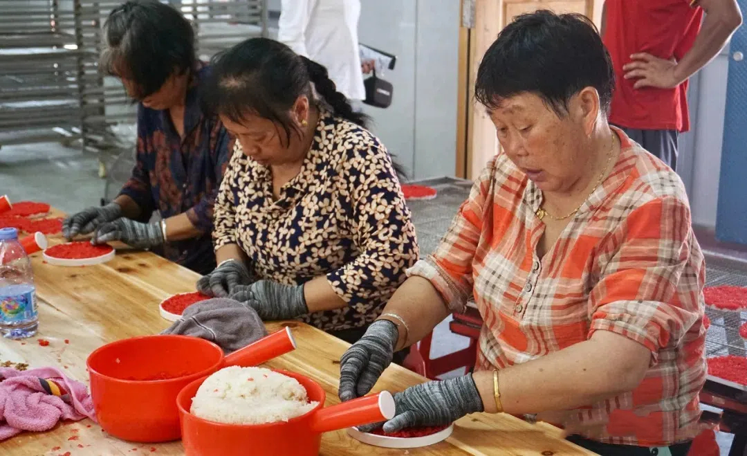 武冈农业特色产业系列报道之六：地母庵村如意米花厂开工投产 为武冈市农特产注入新活力(图1)