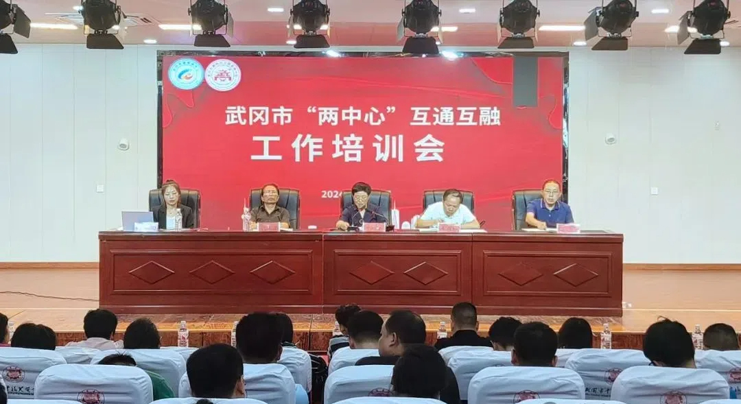 武冈市2024年全国科普日活动启动(图1)