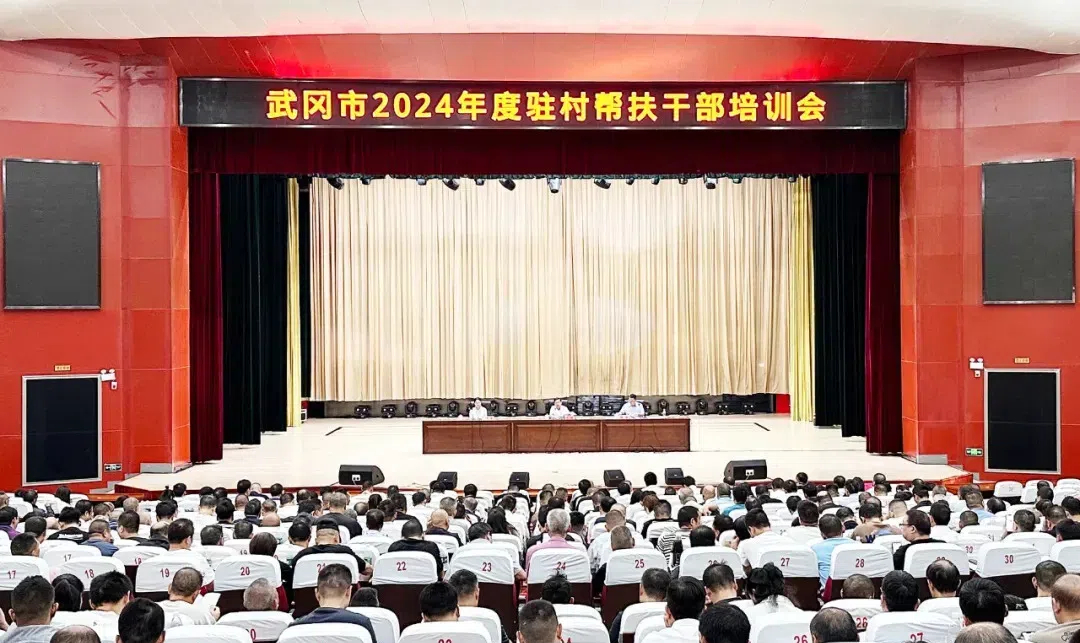 武冈市325名帮扶干部集中“充电” 提能接续推进乡村振兴(图1)