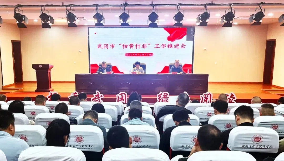武冈市召开“扫黄打非”工作推进会(图1)