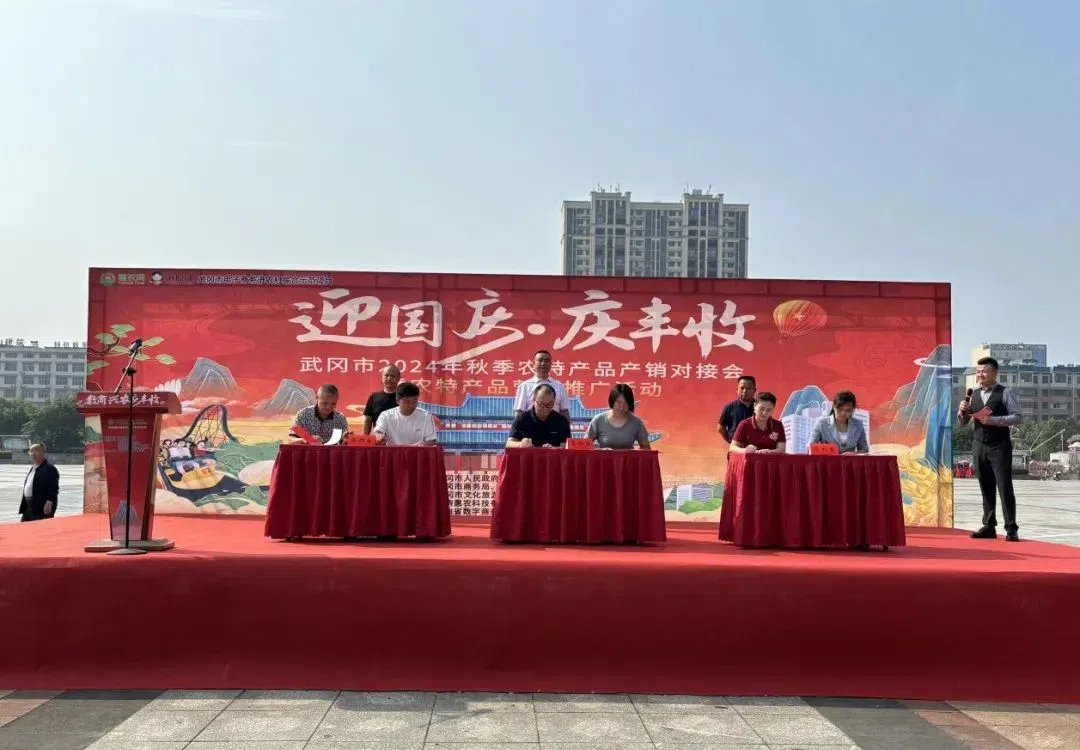 武冈：全面精准发力 助力企业乘上“两重”“两新”政策“快车”(图1)