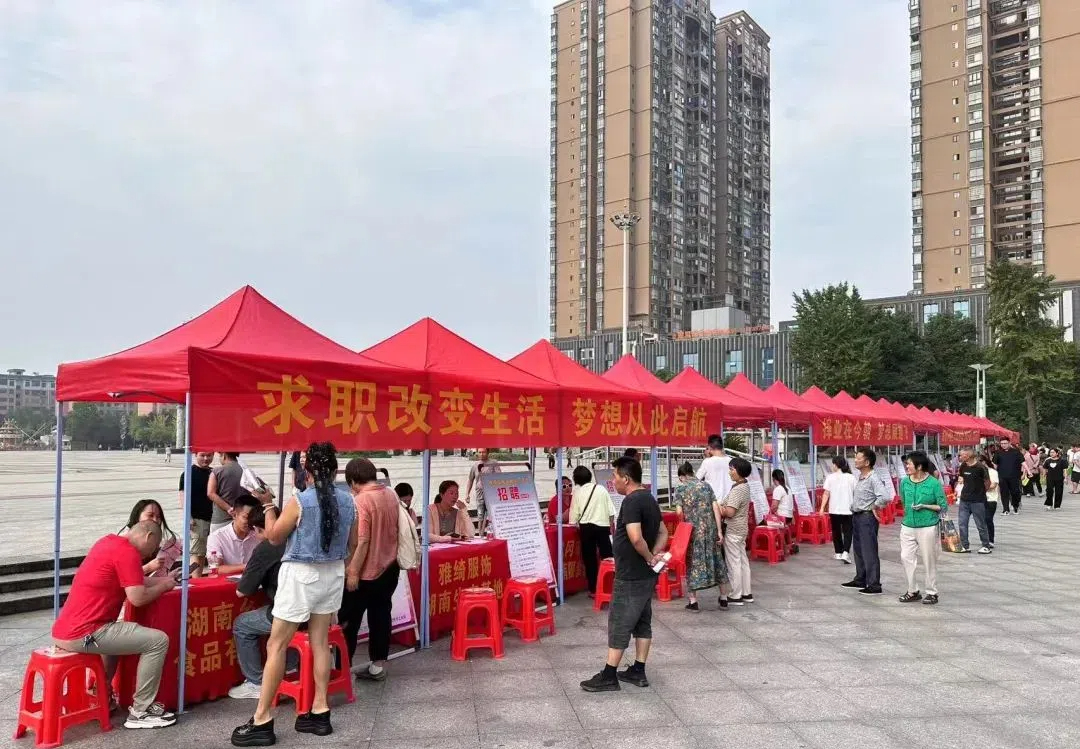 武冈市开展“两重”“两新”送解忧专项招工行动 为企发展提供人才支撑(图1)