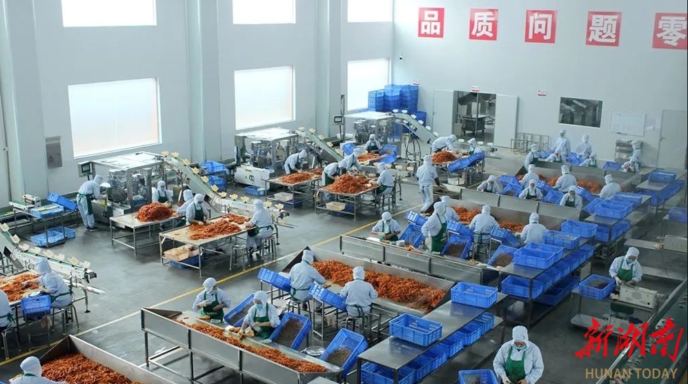 湖南日报 | 一锅卤水流金淌银，富了群众强了县域 千年武冈 “卤”味长香(图5)
