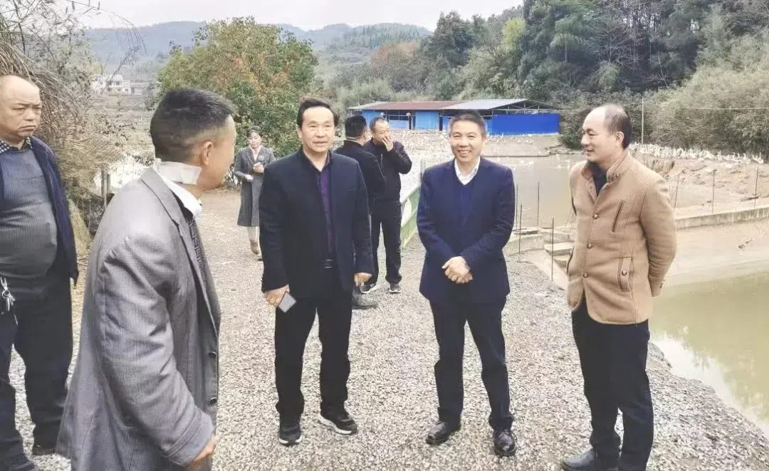 武冈市人大常委会调研法新豆腐与武冈铜鹅特色产业(图1)