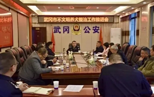 多部门联动集中整治不文明养犬行为(图1)