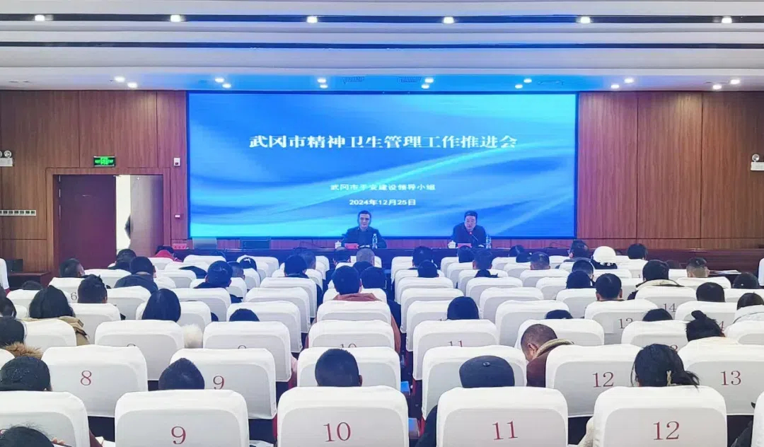 武冈市召开精神卫生管理工作推进会暨心理危机干预培训会(图1)