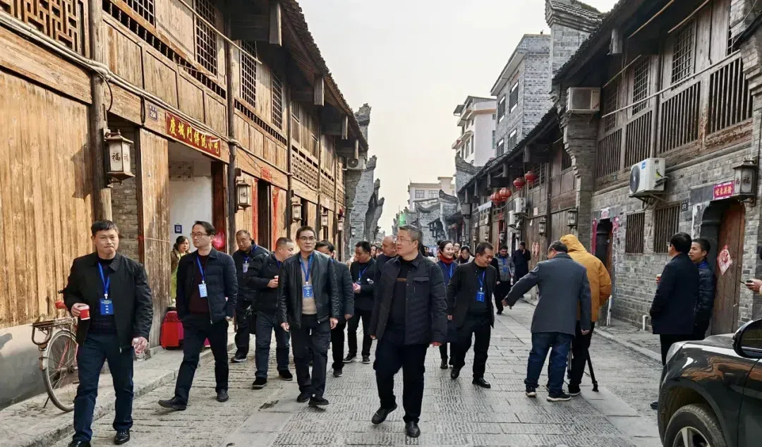 武冈市人大常委会组织人大代表开展集中视察(图1)