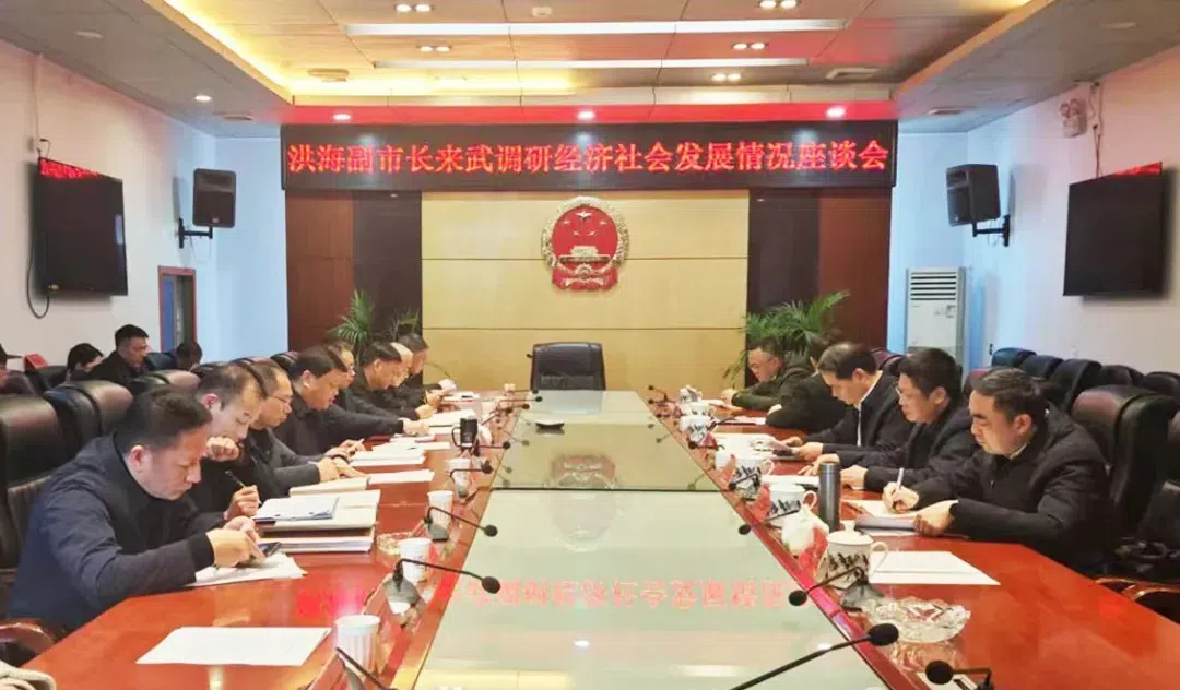 易洪海赴武冈调研经济社会发展 共绘发展新蓝图(图1)