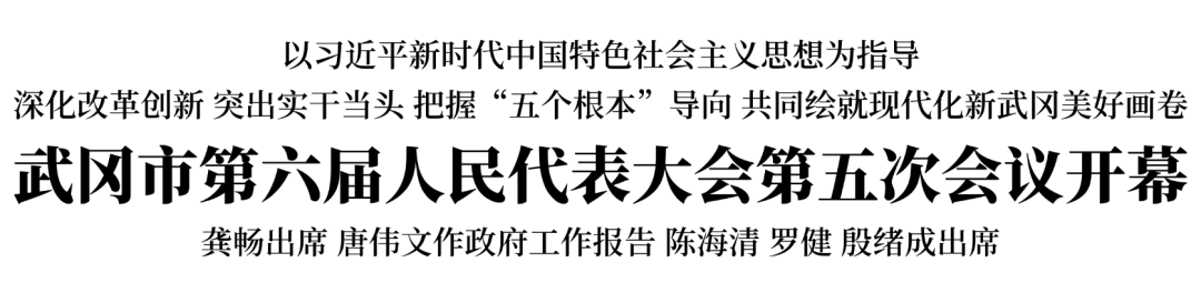 武冈市第六届人民代表大会第五次会议开幕(图1)