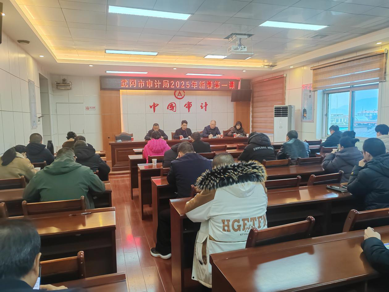 新春启航振精神 擘画新年新蓝图——武冈市审计局2025年度新春第一课开讲(图1)