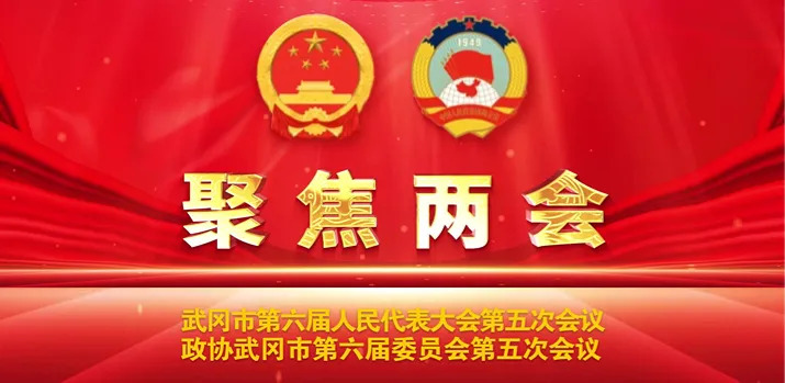 殷绪成察看武冈市政协六届五次会议筹备工作情况(图1)