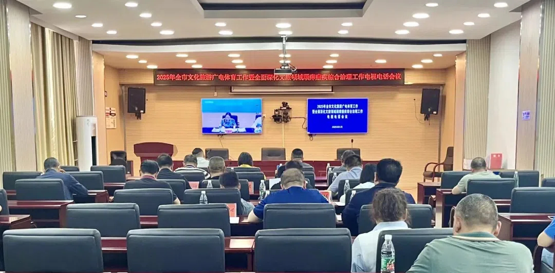 邵阳市部署全面深化文旅领域顽瘴痼疾综治工作 武冈组织收听收看电视电话会议(图1)