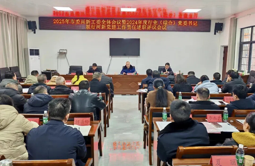武冈市召开武冈市委两新工委全体会议暨年度行业（综合）党委书记履行新兴领域党建工作责任述职评议会议(图1)