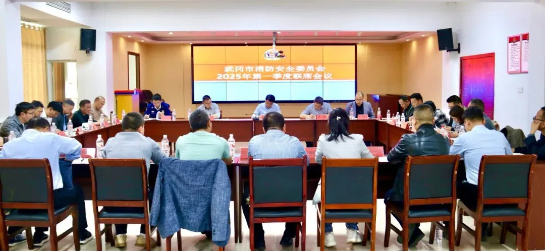 武冈消安委2025年首会：筑牢安全防线守护民生底线(图1)