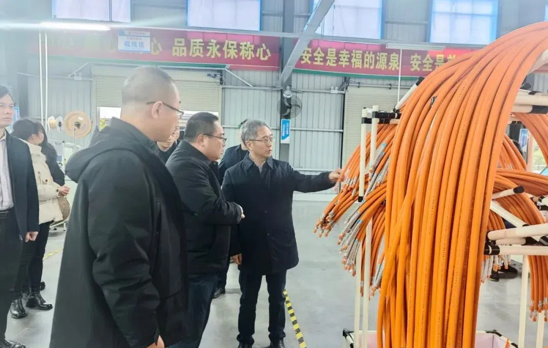 李志坚深入武冈调研为产业发展创新“把脉开方”(图2)