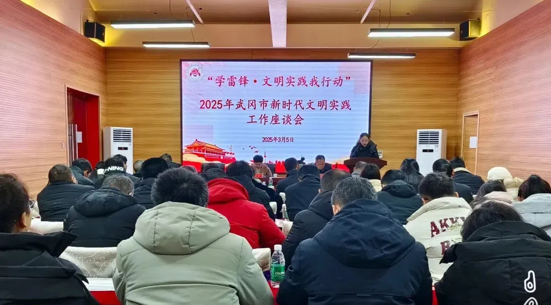 武冈召开新时代文明实践工作座谈会(图1)
