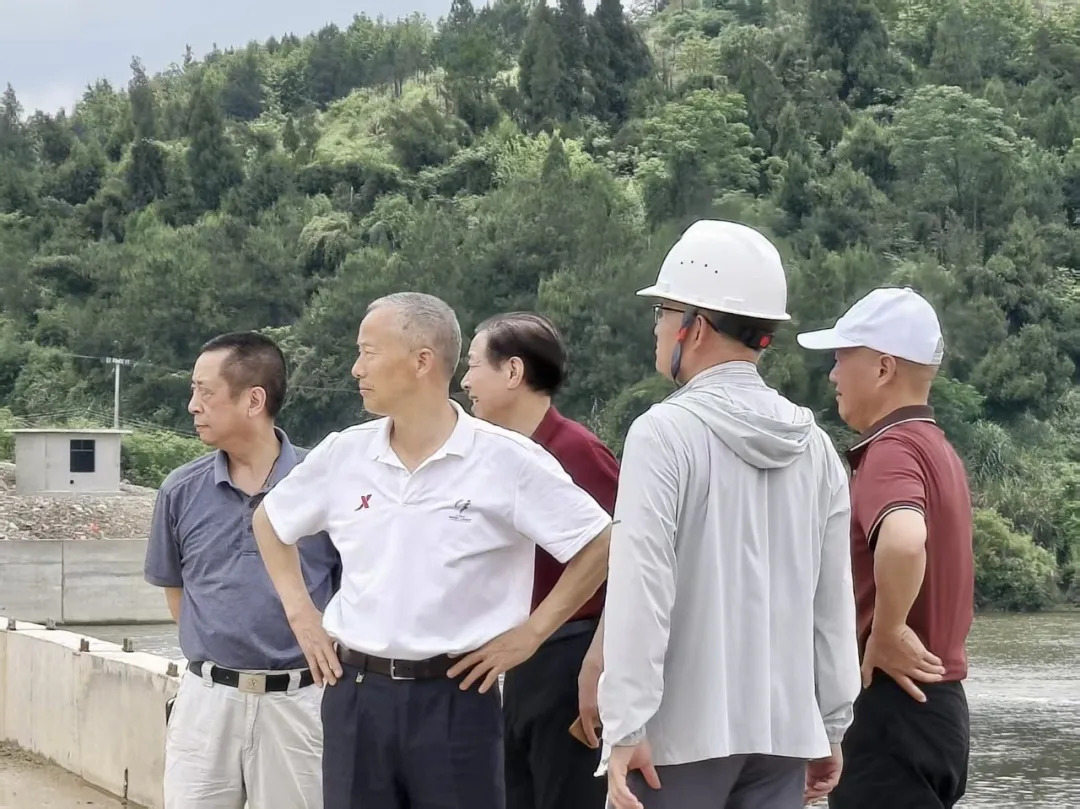 武冈老干部一线把脉乡村振兴(图2)