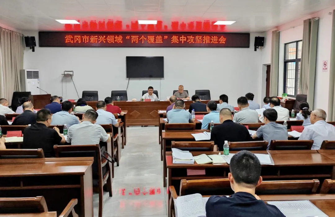 武冈市召开新兴领域“两个覆盖”集中攻坚推进会