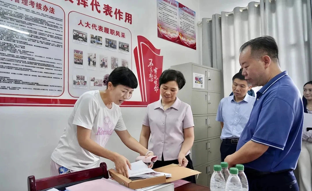 罗玉梅赴武冈督办重点代表建议(图1)