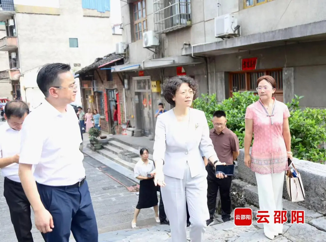 程蓓专题调研武冈申报国家历史文化名城工作 明晰定位高位推动 全力打好申报攻坚战 周文参加(图1)