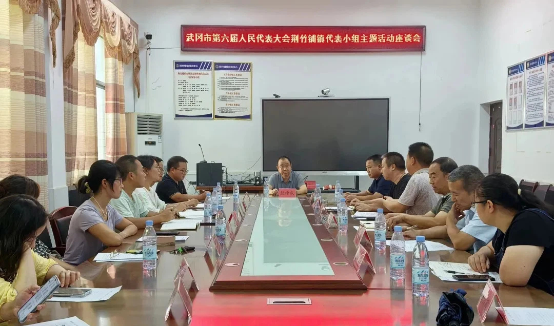 殷绪成以武冈市人大代表身份参加荆竹铺镇代表小组主题活动(图1)