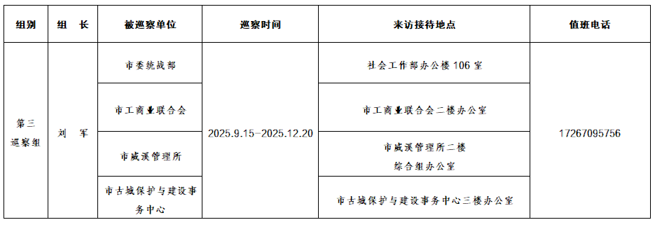 六届武冈市委第九轮巡察完成进驻(图2)