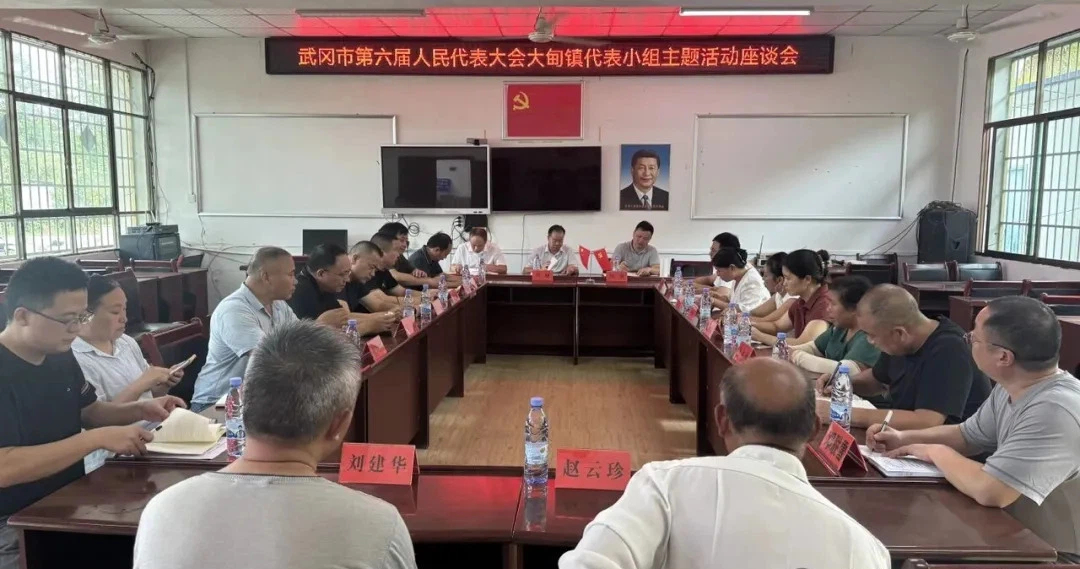 罗健以武冈市人大代表身份赴大甸镇参加代表小组主题活动(图1)