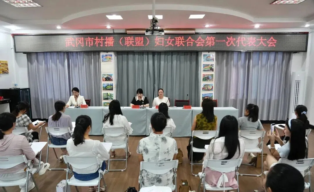 武冈市村播（联盟）妇女联合会成立(图1)