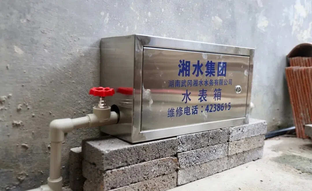 武冈：打好农村饮水保障“突击战” 织牢供水安全网(图3)